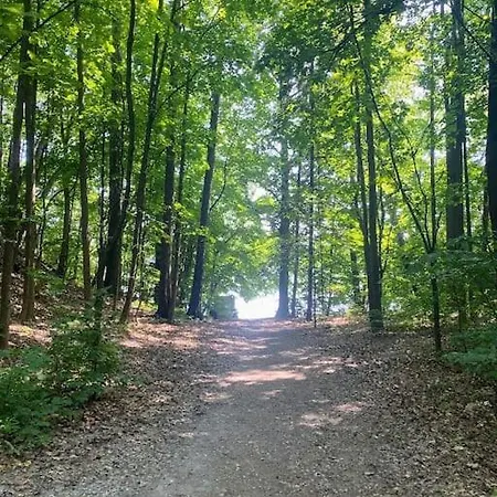 Leilighet Spacious 3 Bedroom Next To Thon Hotel, Storsenter Shopping, And 15 Minutes To Oslo *