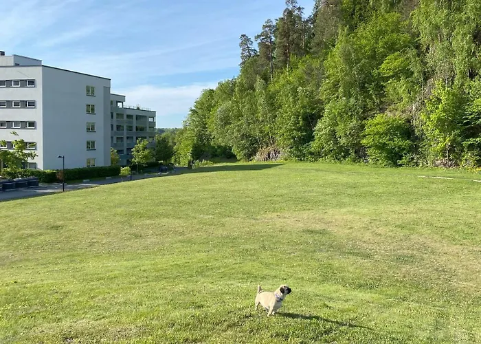 Spacious 3 Bedroom Next To Thon Hotel, Storsenter Shopping, And 15 Minutes To Oslo Sandvika (Baerum)