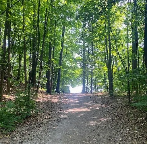 公寓 Spacious 3 Bedroom Next To Thon Hotel, Storsenter Shopping, And 15 Minutes To Oslo *