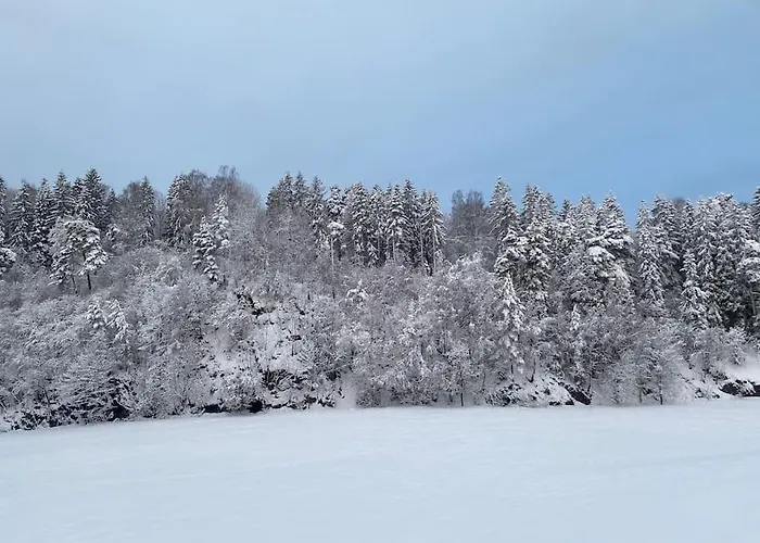 Spacious 3 Bedroom Next To Thon Hotel, Storsenter Shopping, And 15 Minutes To Oslo Apartamento *