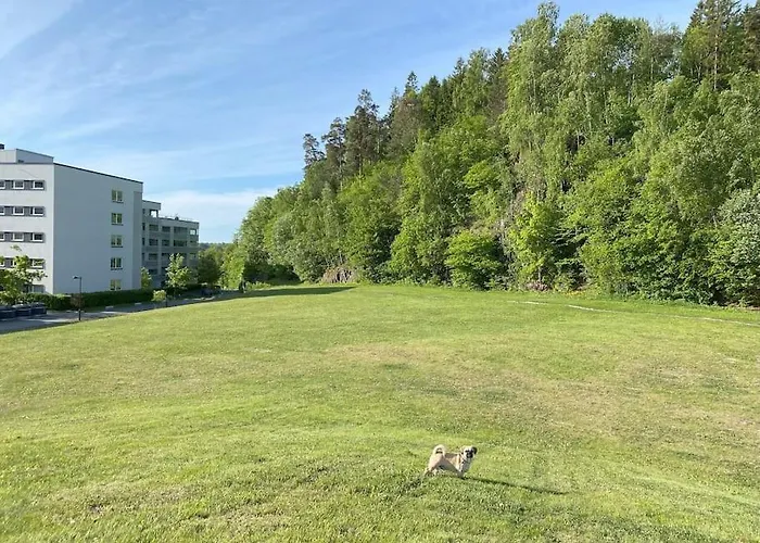 Spacious 3 Bedroom Next To Thon Hotel, Storsenter Shopping, And 15 Minutes To Oslo 公寓